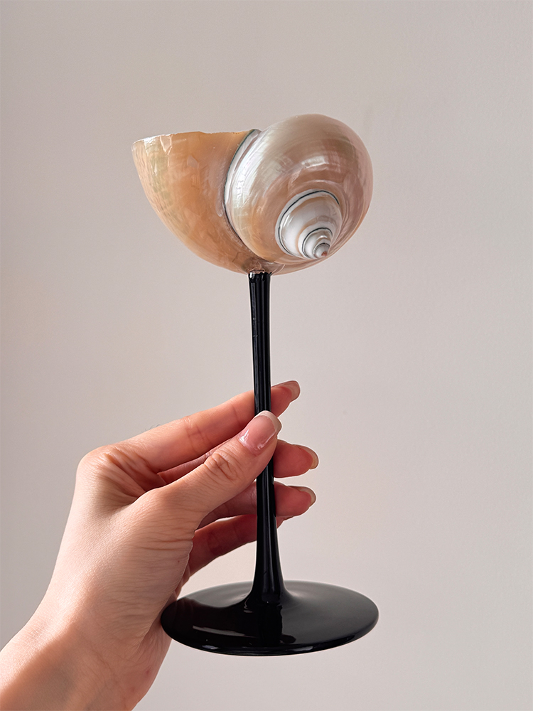Natural Conch Shell Champagne  - Home Bar Set recension och pris